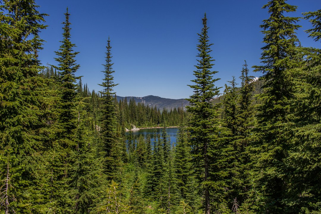 Photo where to go overlanding in Idaho